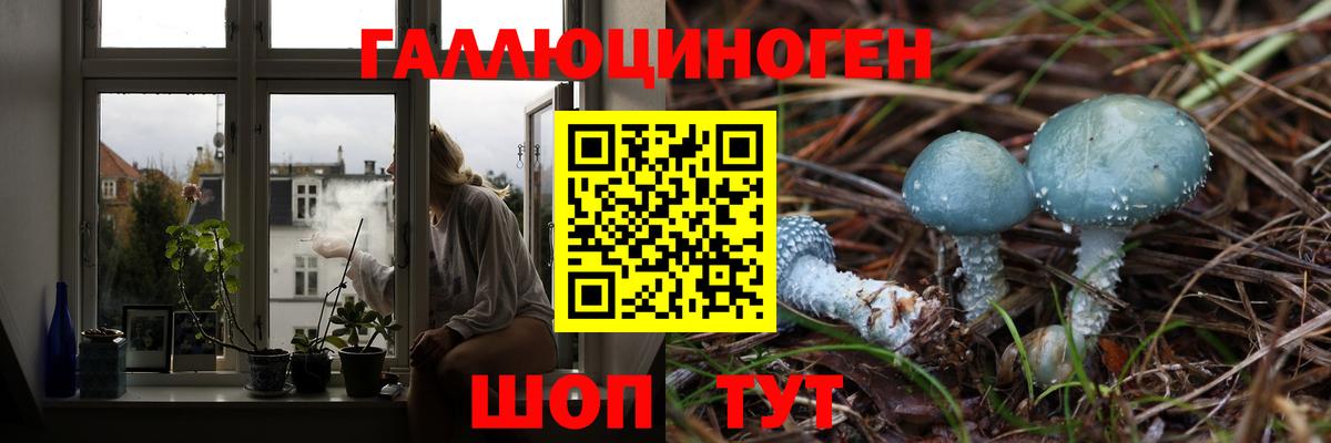 Галлюциногенные грибы Cubensis  Вход с VPN  Новокубанск 